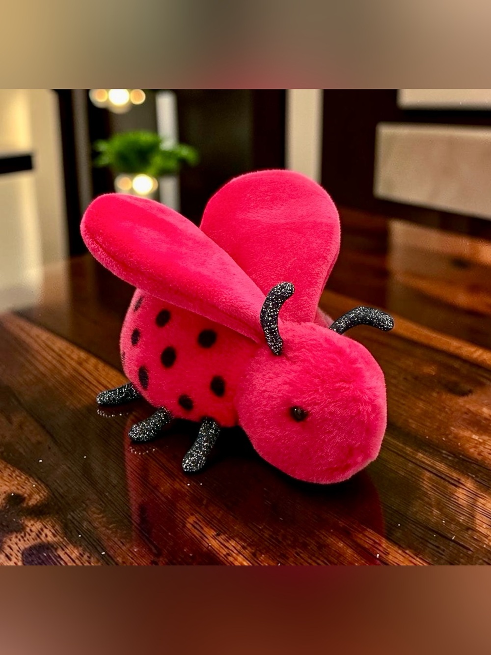 🐞𝐀𝐮𝐭𝐡𝐞𝐧𝐭𝐢𝐜 𝐉𝐞𝐥𝐥𝐲𝐜𝐚𝐭 𝐋𝐨𝐮𝐥𝐨𝐮 𝐋𝐨𝐯𝐞 𝐁𝐮𝐠🐞